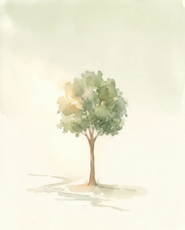 Your watercolor tree, growing in the morning light