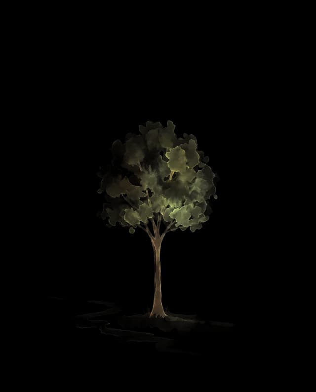 Your watercolor tree, growing in the morning light